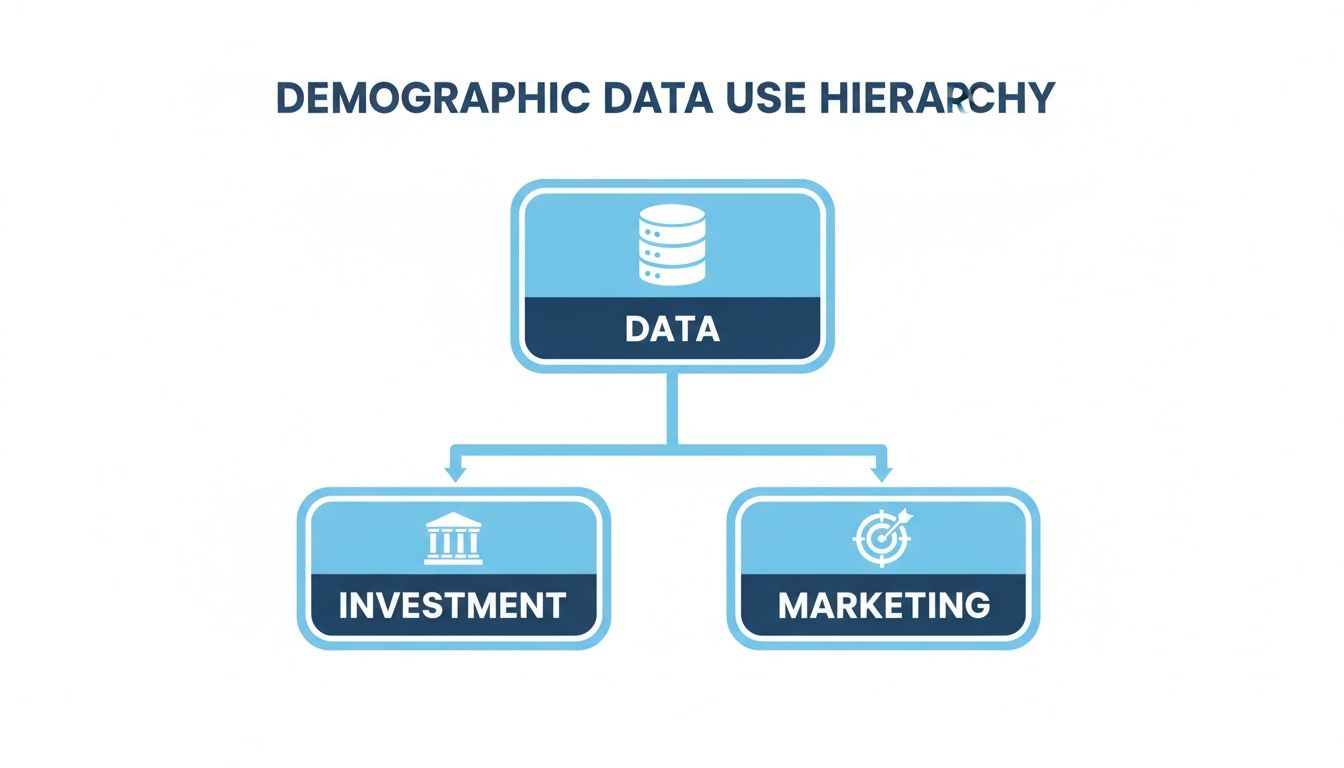 A demographic data use hierarchy showing data leading to investment and marketing.