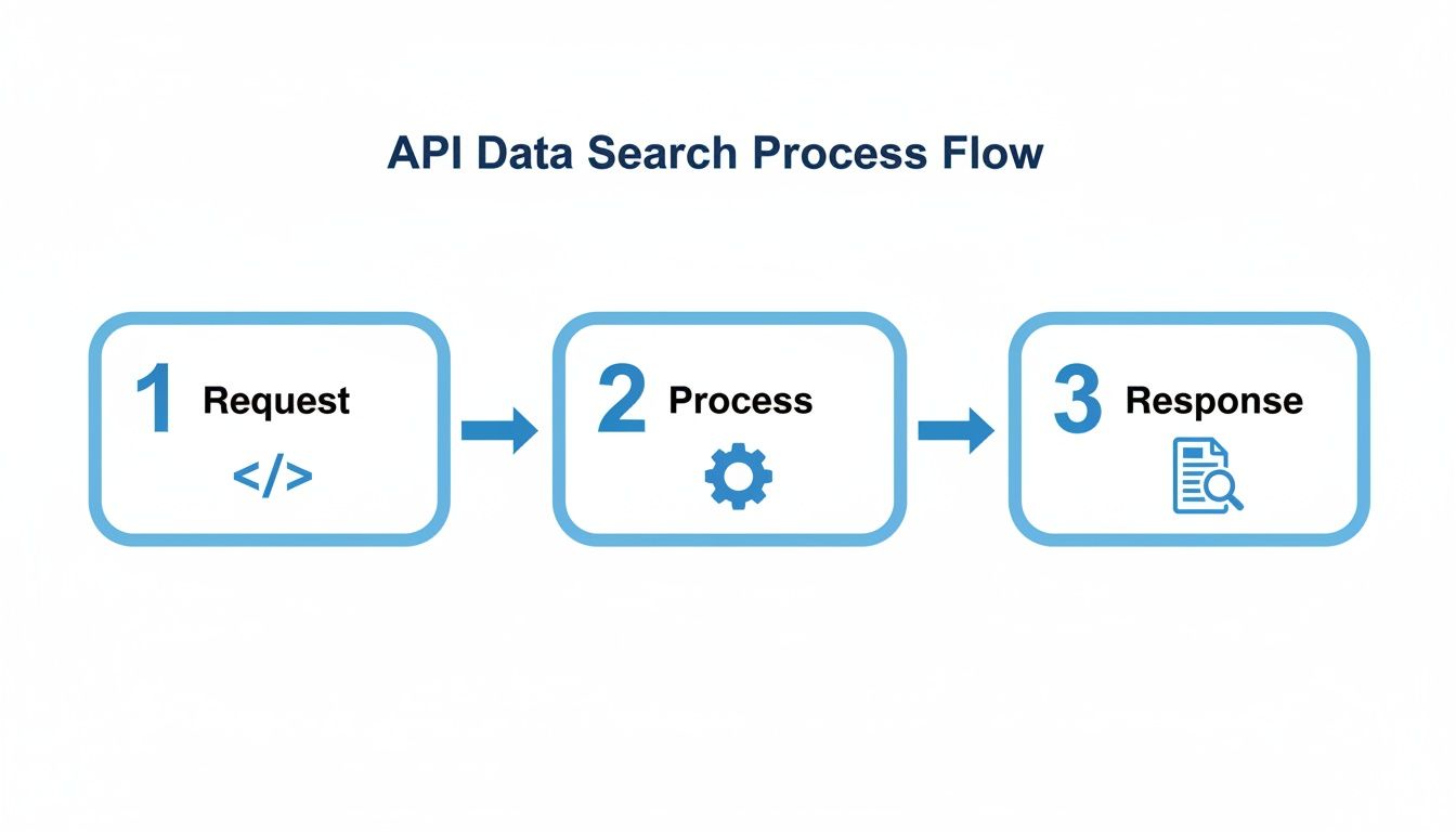 A blue and white flowchart illustrates the API data search process with steps: Request, Process, and Response.