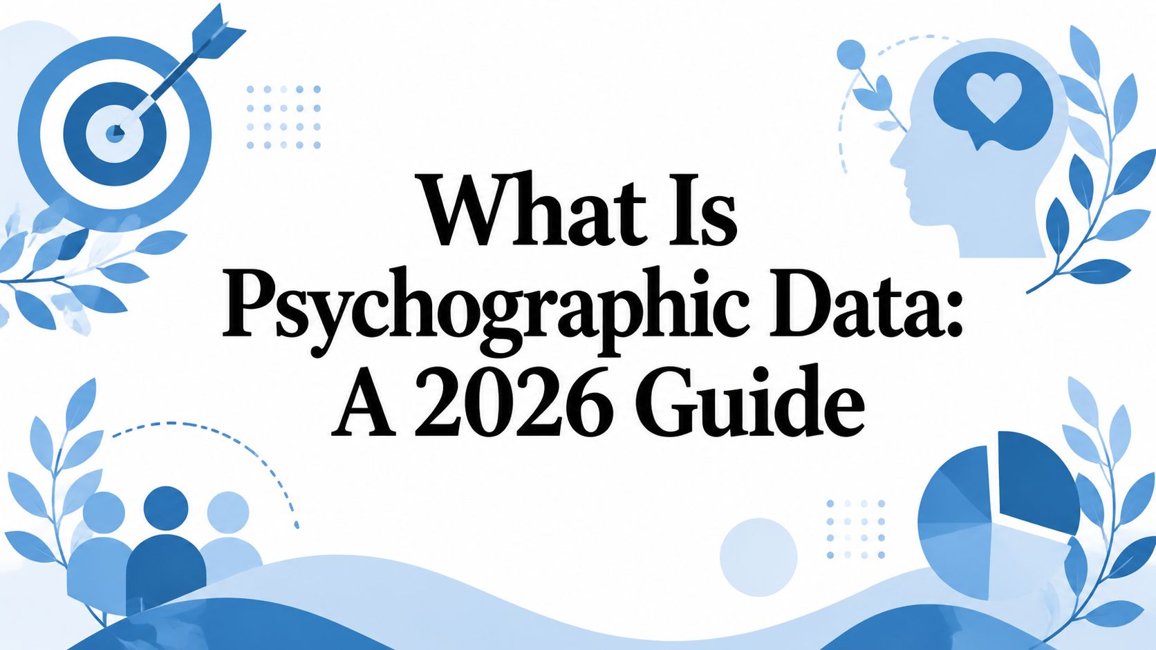 What Is Psychographic Data: A 2026 Guide