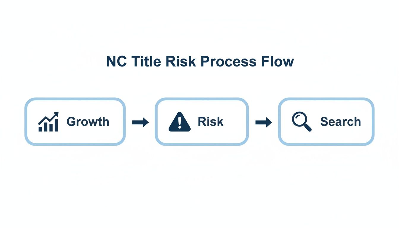 A flowchart demonstrating the NC Title Risk Process Flow, outlining stages for Growth, Risk, and Search.