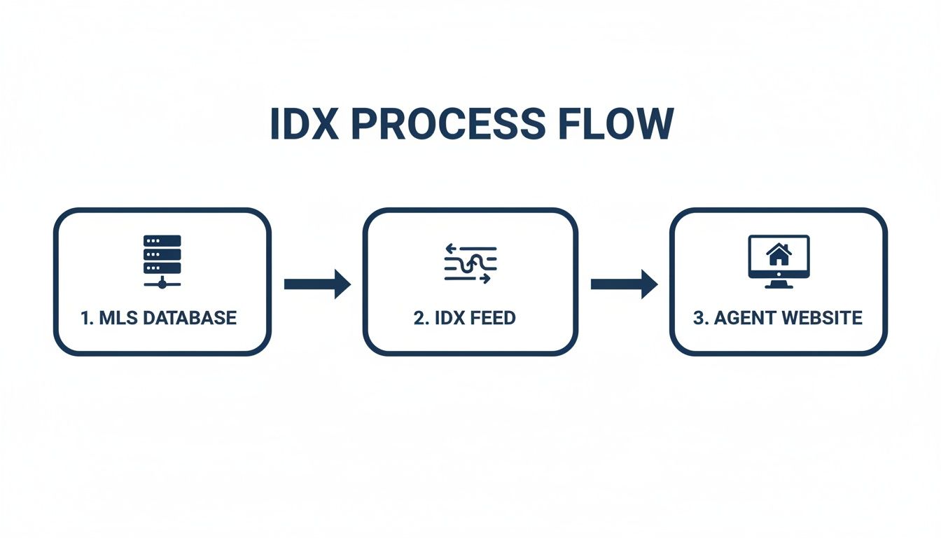 Diagram illustrating the IDX process flow from MLS database through IDX feed to the agent website.